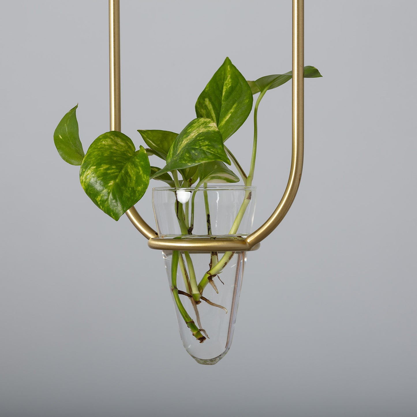 Lámpara Colgante | Diseño Premium | Metal y Cristal Vintage