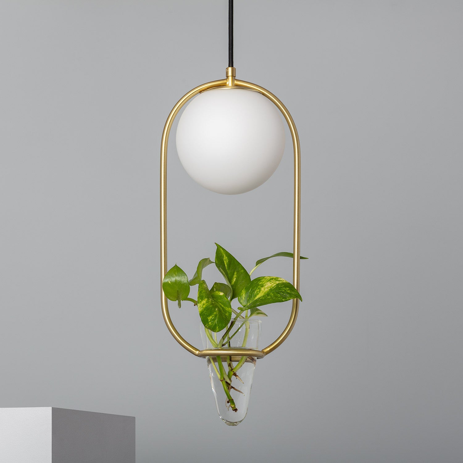 LÁMPARA COLGANTE DE DISEÑO PREMIUM, COLECCIÓN MOONLIGHT