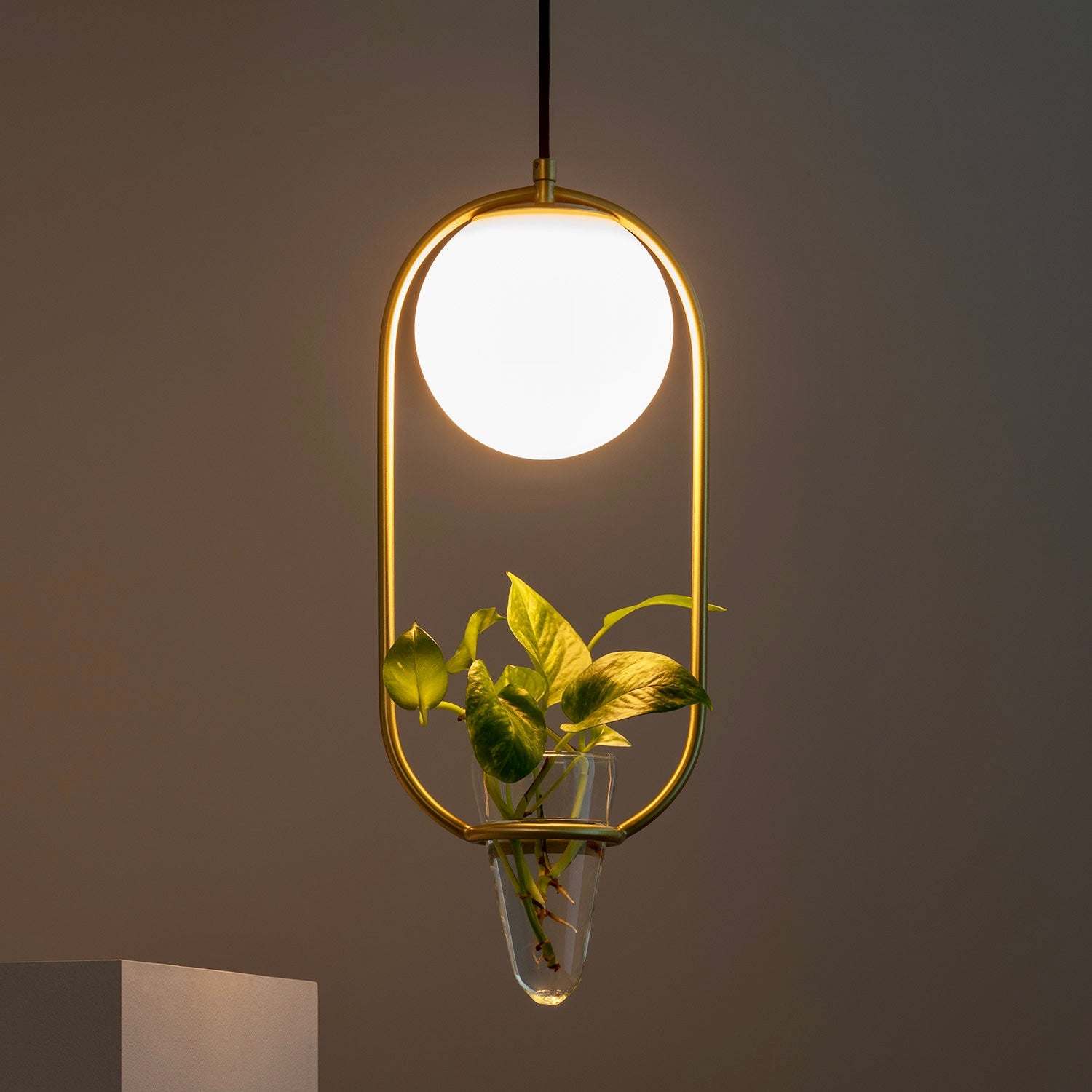 LÁMPARA COLGANTE DE DISEÑO PREMIUM, COLECCIÓN MOONLIGHT